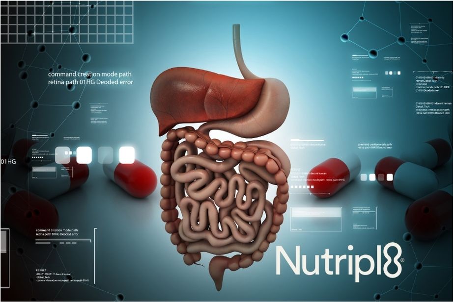 nutripl8-excelente-digestivo