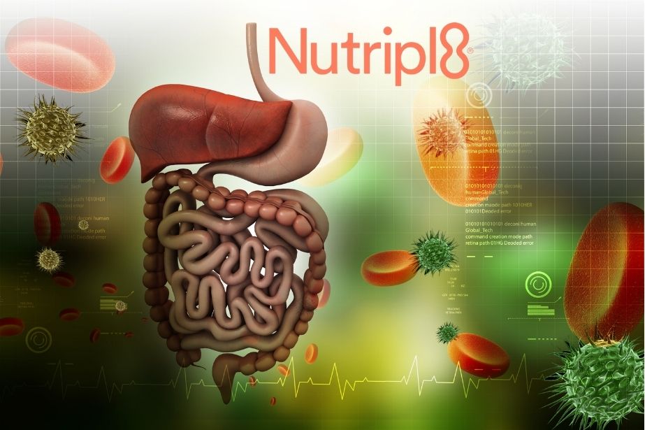 nutripl8-regulador-sistema-digestivo